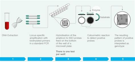 Histo Spot Sso Technical Information Mc Diagnostics Automated