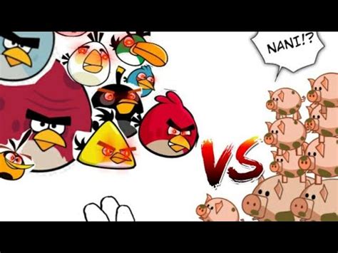 Angry Bird Vs Pig And Piglet Dc Angrybird Youtube