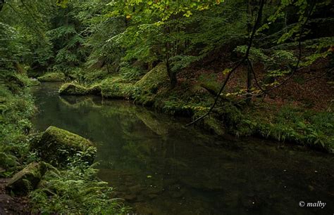 W W Z Edmunda Rzeka Kamenice W W Wozie Edmunda Wirtualny Przewodnik