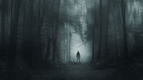 10 Terrifying Haunted Trees And Forests