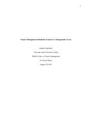 StansburyAngelia PJM310 Module 6 CT Docx 1 Project Management