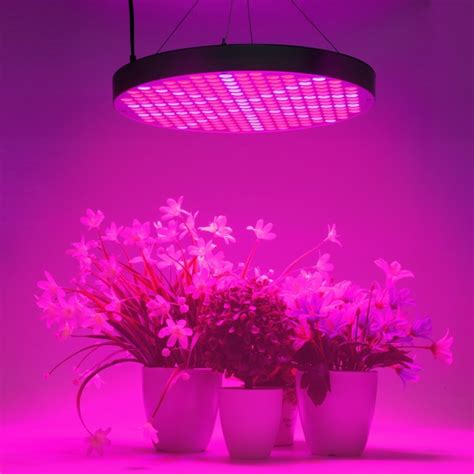 Best Cheap Grow Light Reviews 2019