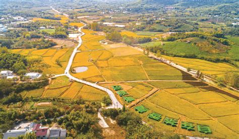 杨家村：农旅融合 田园变乐园 溧阳日报