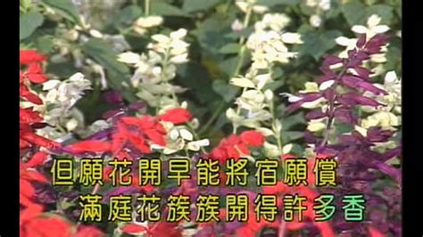 经典国语老歌 】兰花草 刘文正 Video Dailymotion