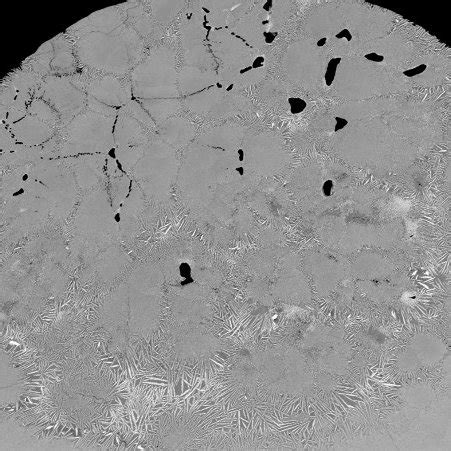 Polished Cross Section Of A Crystallized Sample 50 ZrO 2 50 Al 2 O 3