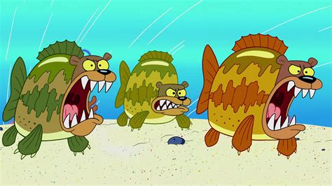 Sea Bear Encyclopedia Spongebobia Fandom Powered By Wikia