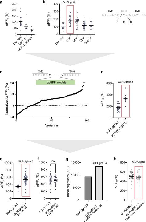 Figures And Data In Optical Tools For Visualizing And Controlling Human