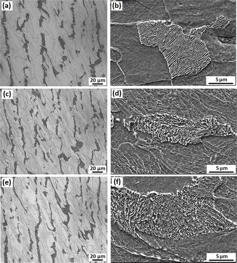 Optical And Sem Micrographs Showing The Microstructures Of A B Download Scientific Diagram