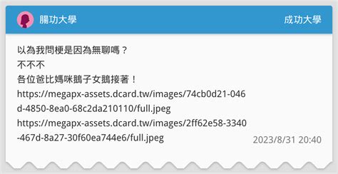 腸功大學 成功大學板 Dcard