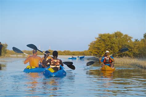 Mangroves Kayaking - Q Moments DMC