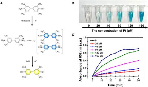 Frontiers Observation Of The Protein Expression Level Via Naked Eye