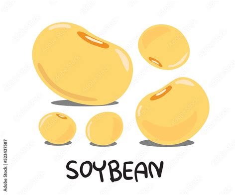 Soybean Soybean Logo Soybean On White Background Soybean Vector