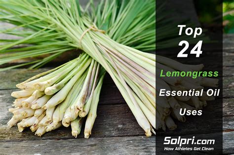 24 Lemongrass Essential Oil Benefits And Why We Love It Solpri