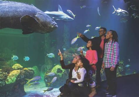 Wonders Of Wildlife Wins Best Aquarium For Third Time