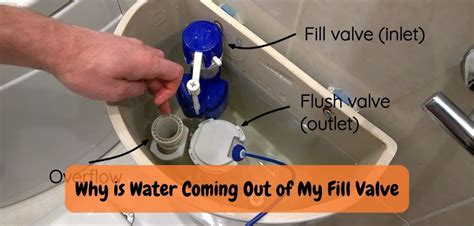 Why Toilet Fill Valve Leaking: Discovering the Reasons!