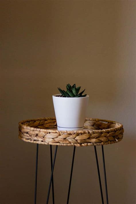 Latest Wicker Furniture Ideas That Will Spruce up Your Living Space