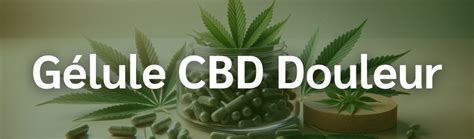 Gélules CBD Douleurs Le CBD Discount