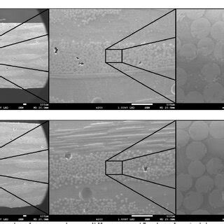 Sem Micrographs Of Cross Sections At Different Magnifications For A