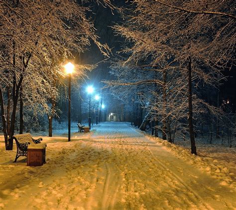 Wallpaper Sunlight Trees Street Light Sunset Night Snow Winter