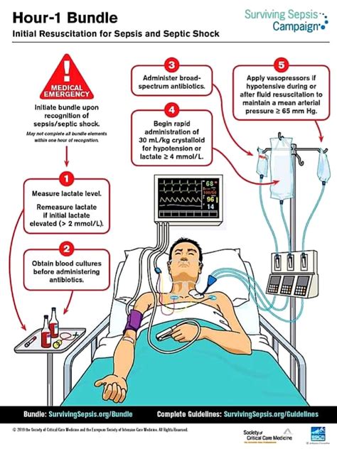 Sepsis Guidelines Global Regional And National Sepsis Incidence 76860