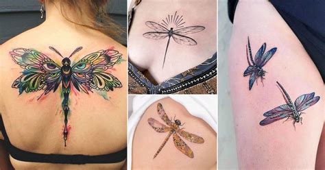 50 Dragonfly Tattoo Meaning And Designs Balcony Garden Web