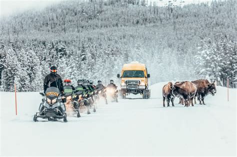 The Ultimate Yellowstone in Winter Guide: Everything You Need to Know