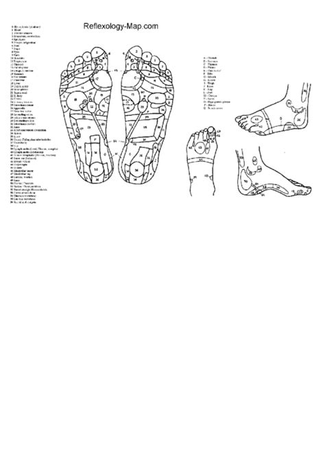 Reflexology Foot Chart printable pdf download