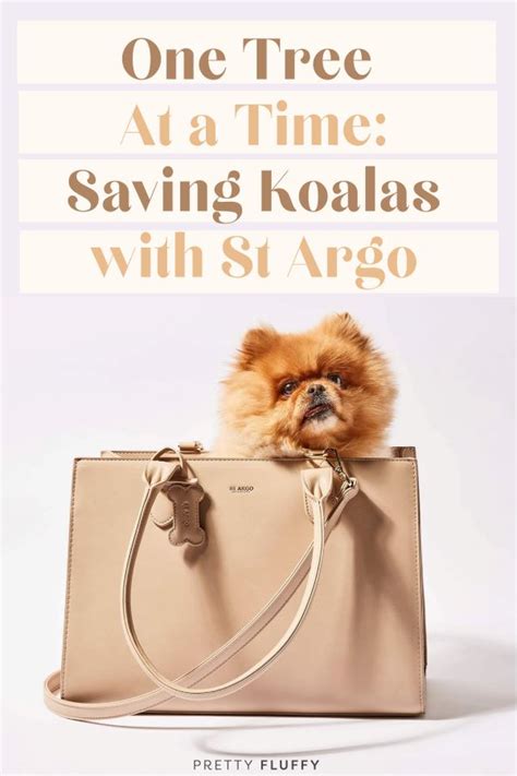 Planting Trees Saving Koalas With ST ARGO Pretty Fluffy