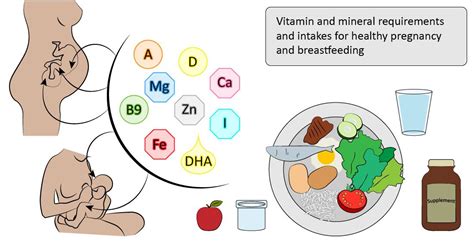 Nutrients Free Full Text Nutrient Requirements During Pregnancy And