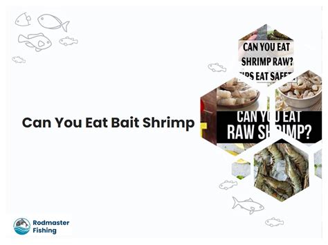 Can You Eat Bait Shrimp Rodmasterfishing