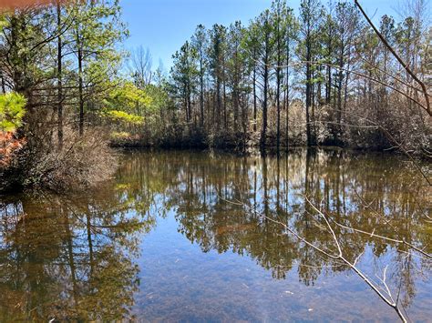 Twiggs County Ga 255 Acres Green Hill Land And Forestry