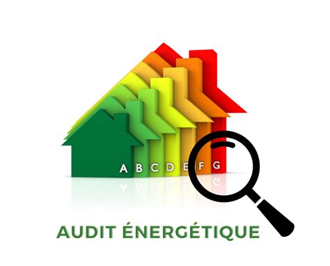 MEGASTRUCTURES Tout Ce Que Vous Devez Savoir Sur Les Audits