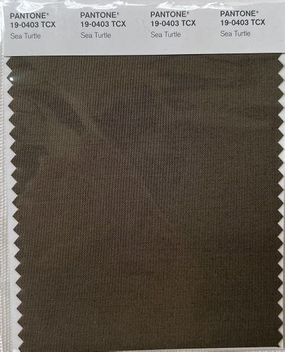 Pantone Tcx Cotton Swatch Card 19 0512 Tcx Ivy Green