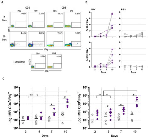 Vaccines Free Full Text A Pbmc Based System To Assess Human T Cell