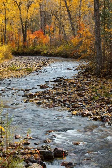 Rattlesnake Creek In Montana Mike Williams Photography Fb Autumn