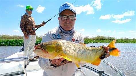 Pesca de Dorado en Esquina Corrientes El Señuelo 24 4 20 YouTube