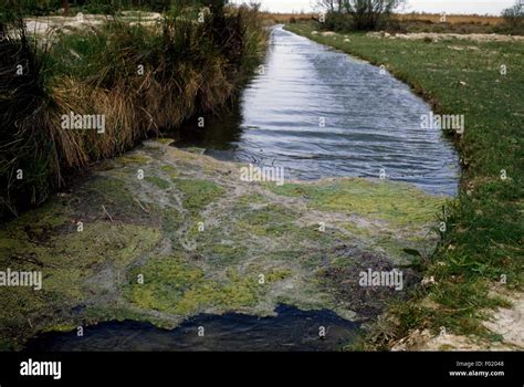 Etang De Vaccares Lagoon Regional Nature Park Of The Camargue Parc