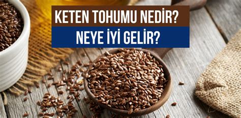 Keten Tohumu Nedir Neye İyi Gelir Emsey Hospital