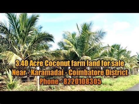 308 3 4 Acre Coconut Farm Land For Sale Near Karamadai