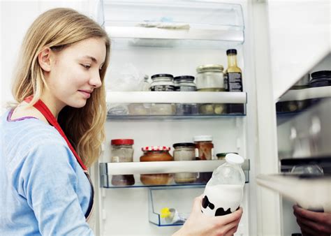 Guia Como Arrumar E Conservar Os Alimentos No Frigor Fico