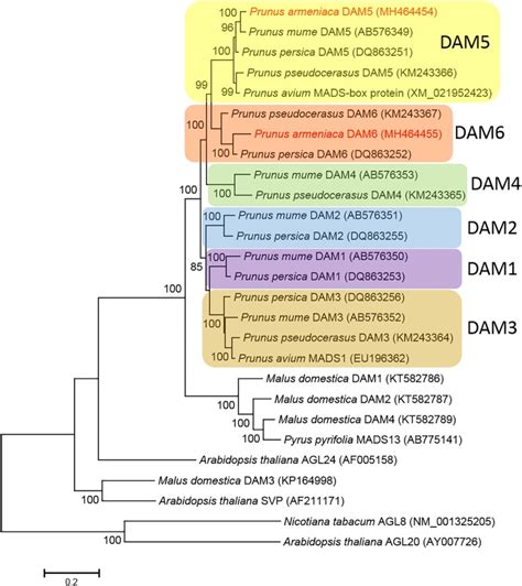 Identification Structural And Functional Characterization Of Dormancy