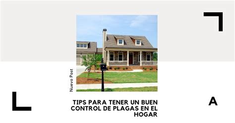 Tips Para Tener Un Buen Control De Plagas En El Hogar 🥇