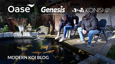 Modern Koi Blog J Rgs Umgebauter Liter Koiteich Nach