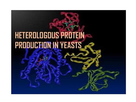 Heterologous Proteins