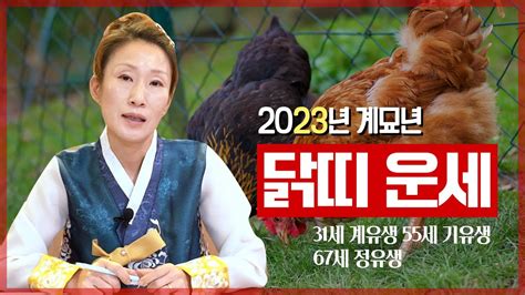 2023년 계묘년 상반기 ‘닭띠 운세 닭띠에세 무조건 생기는 변화들 31세 55세 67세 Youtube