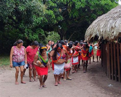 Programas Povos Ind Genas Instituto Iep