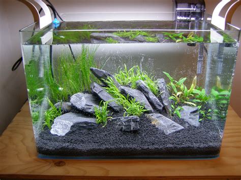 fishy business: Planted Nano tank - picture tutorial done by Alp Tas