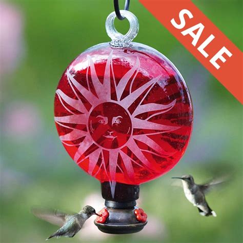 Bird Feeders Sale - Yard Envy