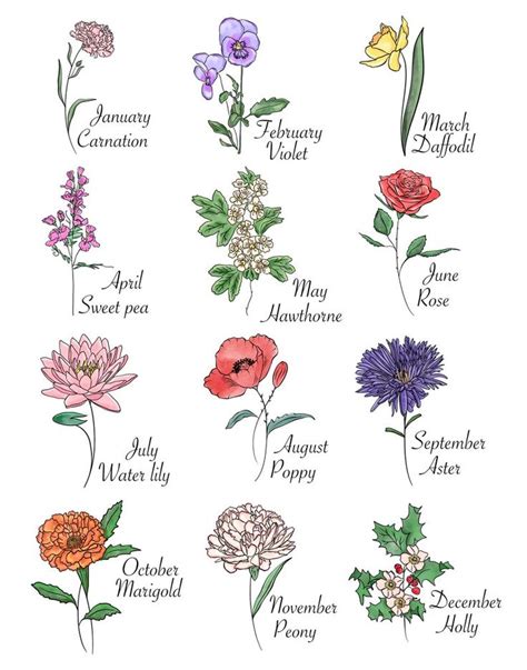 Discover the Beautiful Birth Flowers by Month – Hello Kids Fun