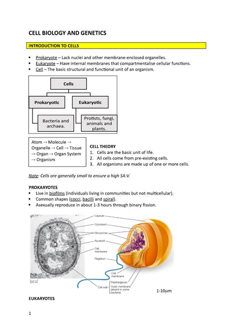 CBG CBG Lectures 1 4 CELL BIOLOGY AND GENETICS INTRODUCTION TO